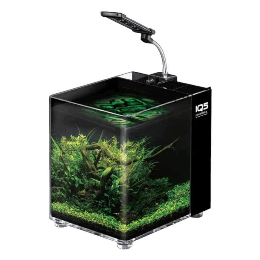 Dymax IQ5 Mini Acrylic Aquarium  Black