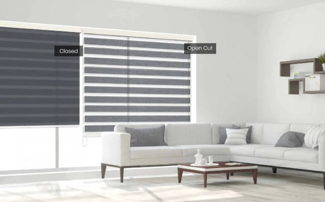 Zebra Roller Blind