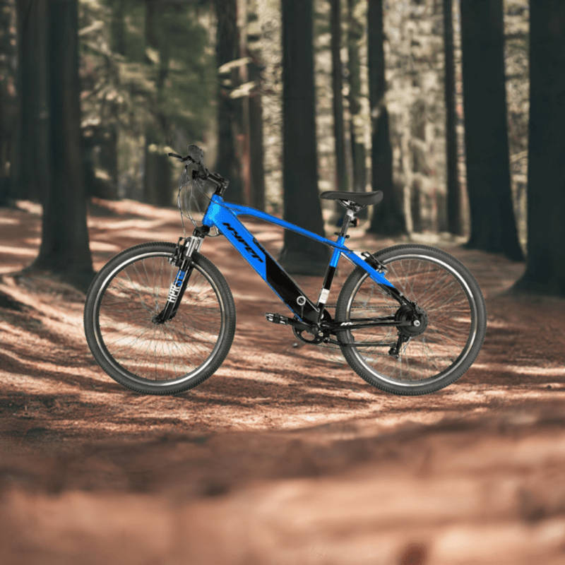 BAOLUJEI  DS2036 Electric Power Bicycle