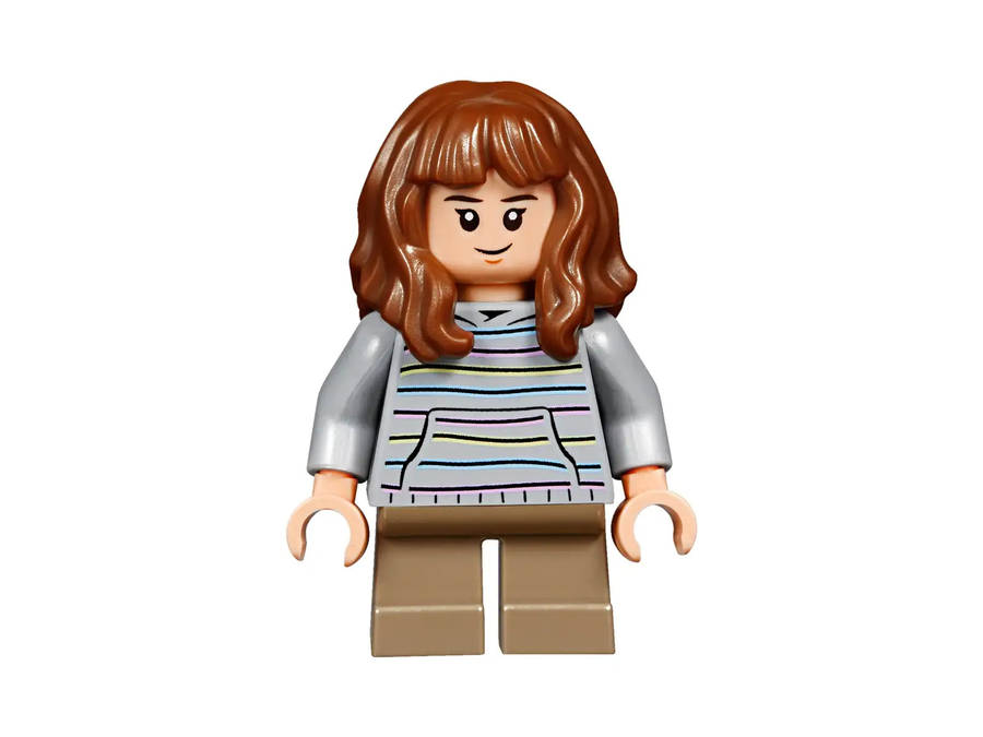 LEGO® Harry Potter 75955 Hogwarts Express train