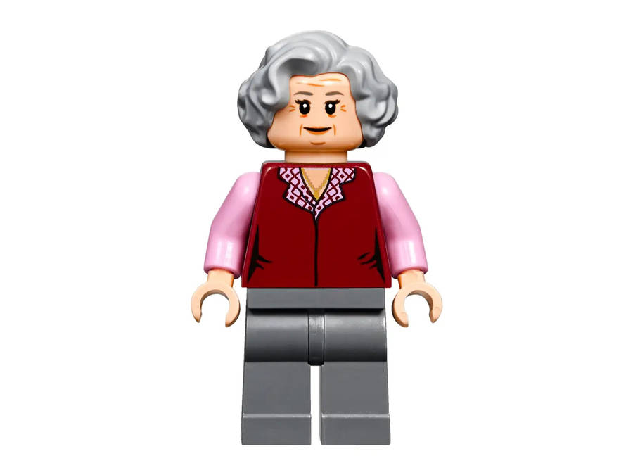 LEGO® Harry Potter 75955 Hogwarts Express train