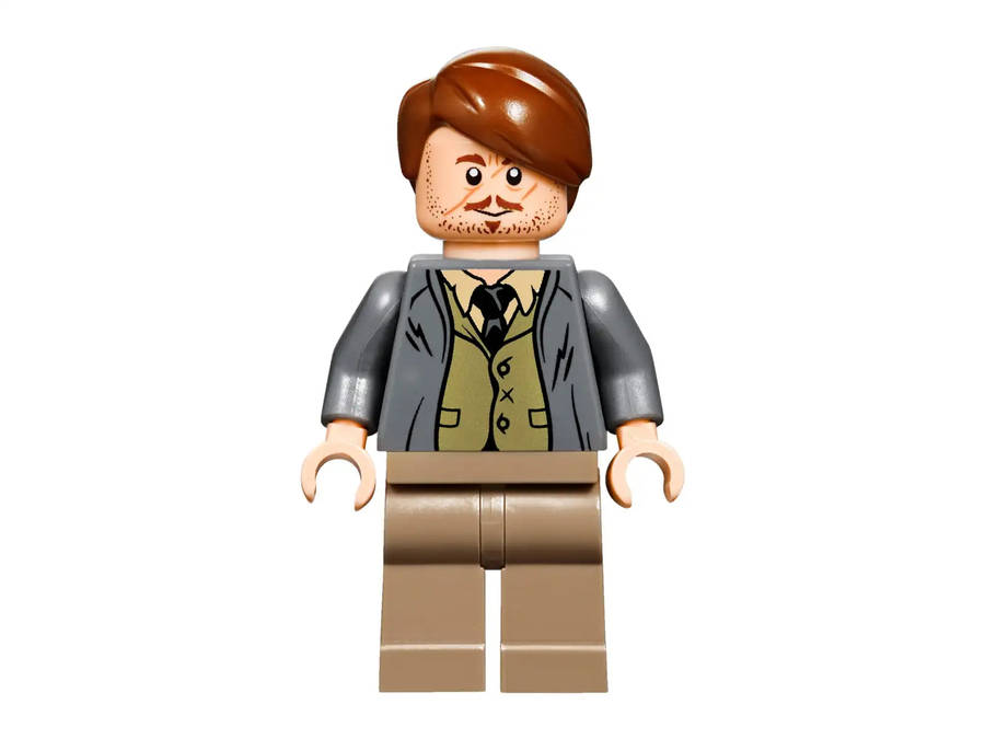 LEGO® Harry Potter 75955 Hogwarts Express train