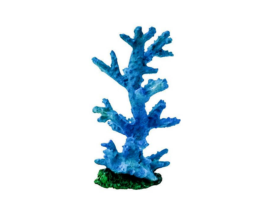 Boyu Ornament (CW-132)