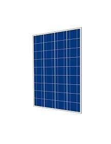 Cinco Solar 80W 36 Cell Poly Panel Off-Grid