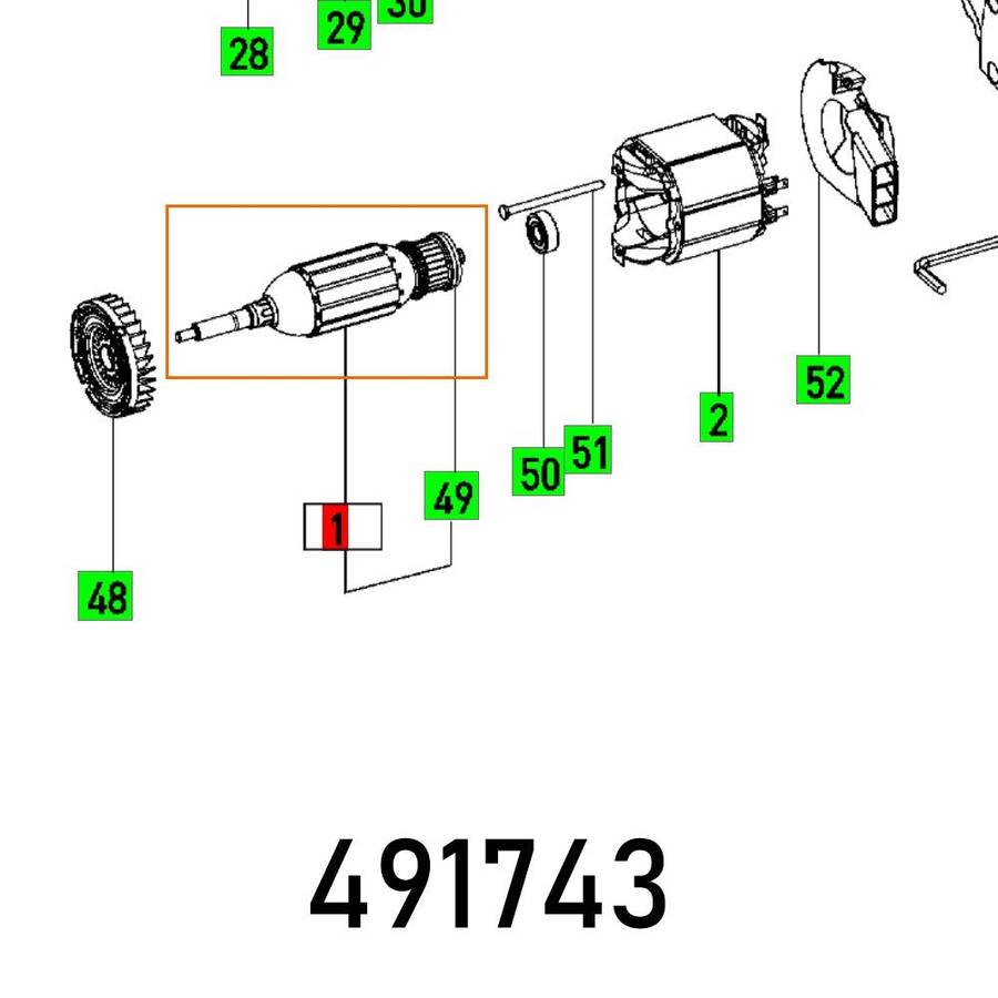 Festool Armature 230 V Ts 55 Ebq