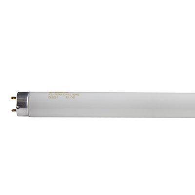 2 Ft T8 Fluorescent Tube 18w G13 6500 K