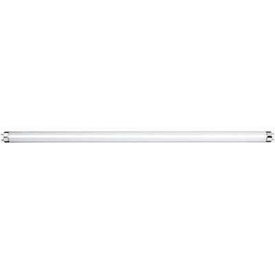 Insect Killer Tube T8 G13 15w 5000h