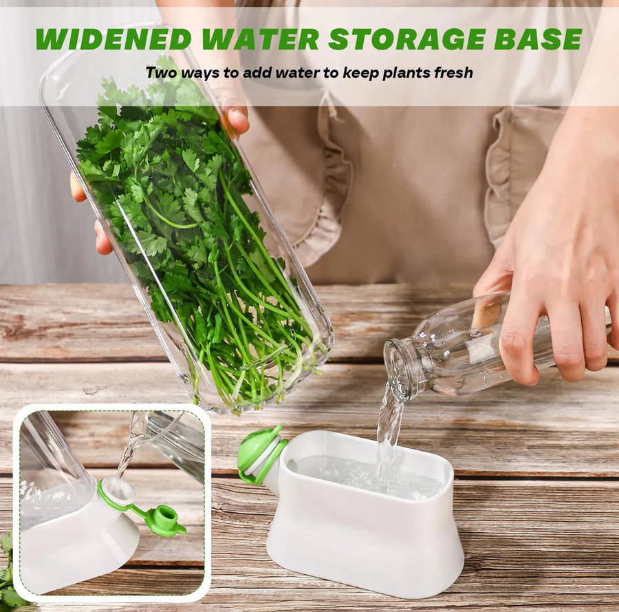 MHome Fresh Herb & Vegetable Preserver Pods  Extend Fridge Freshness Longer