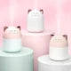 250ml Air Humidifier Cute USB Aroma Diffuser with Night Light for Bedroom Home Car Plant Purifier...