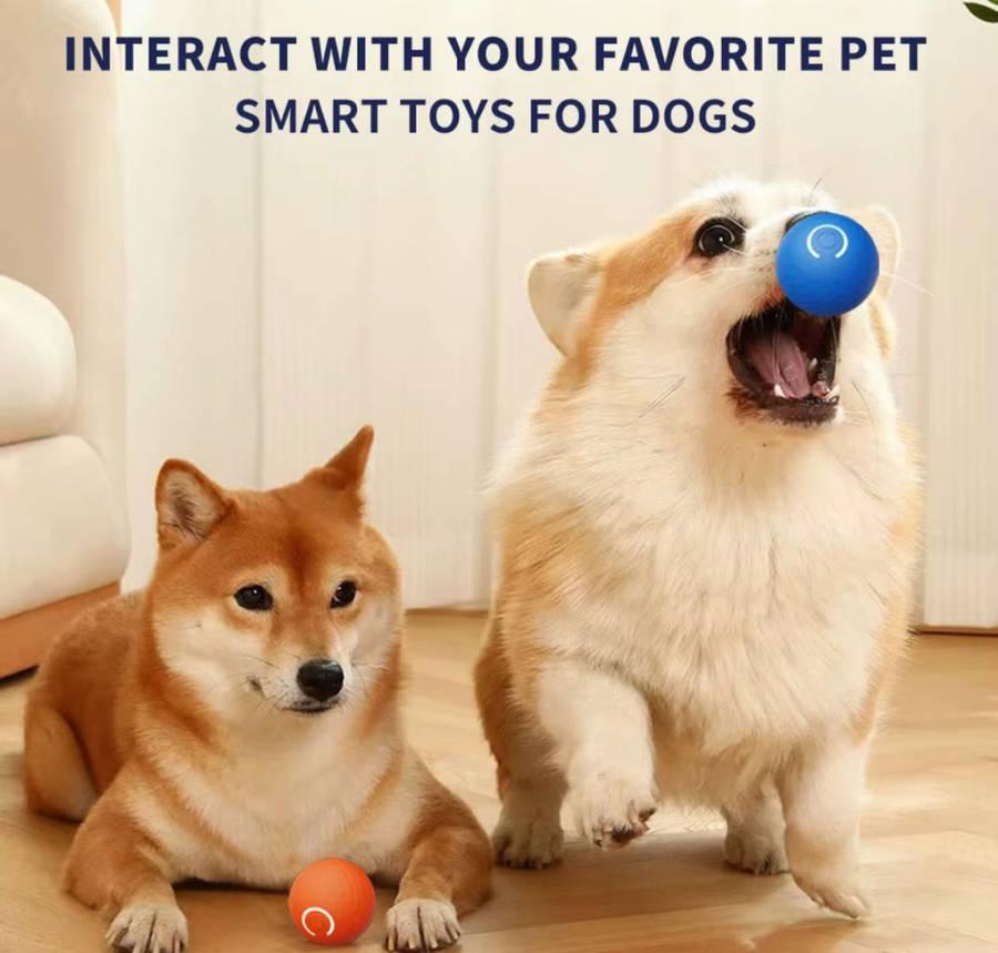 Petz Interactive Smart Play Ball - Various Options