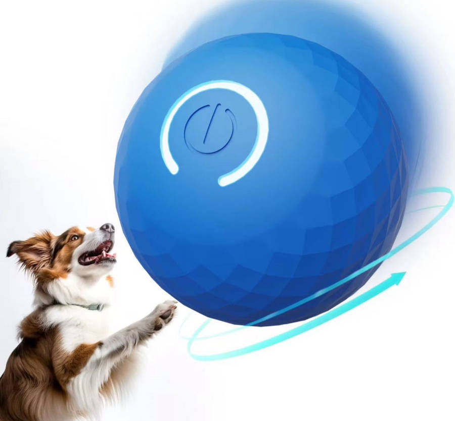 Petz Interactive Smart Play Ball - Various Options