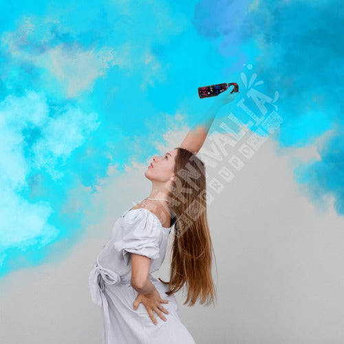 Fire Extinguisher Spray Fired Gender Reveal - Pink & Blue