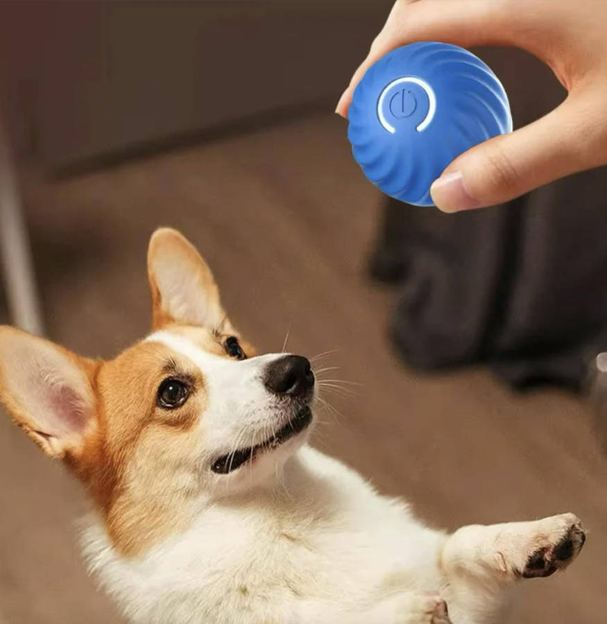 Petz Interactive Smart Play Ball - Various Options
