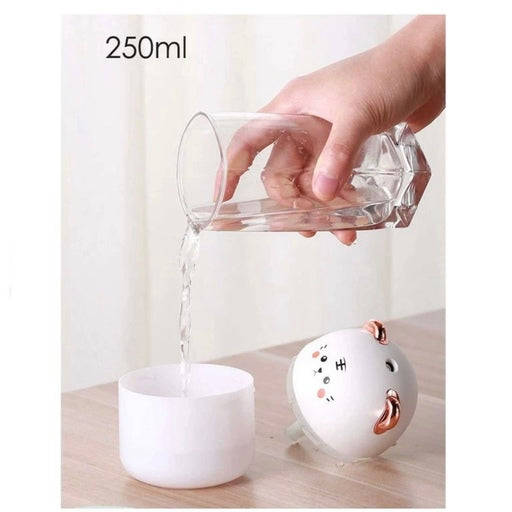 250ml Air Humidifier Cute USB Aroma Diffuser with Night Light for Bedroom Home Car Plant Purifier...