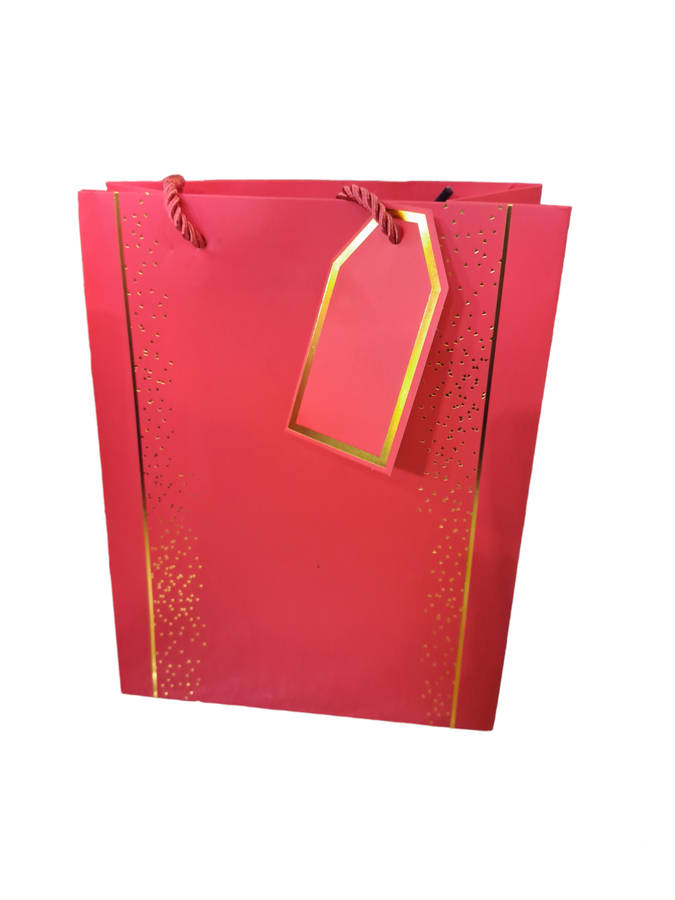 Medium gift bag