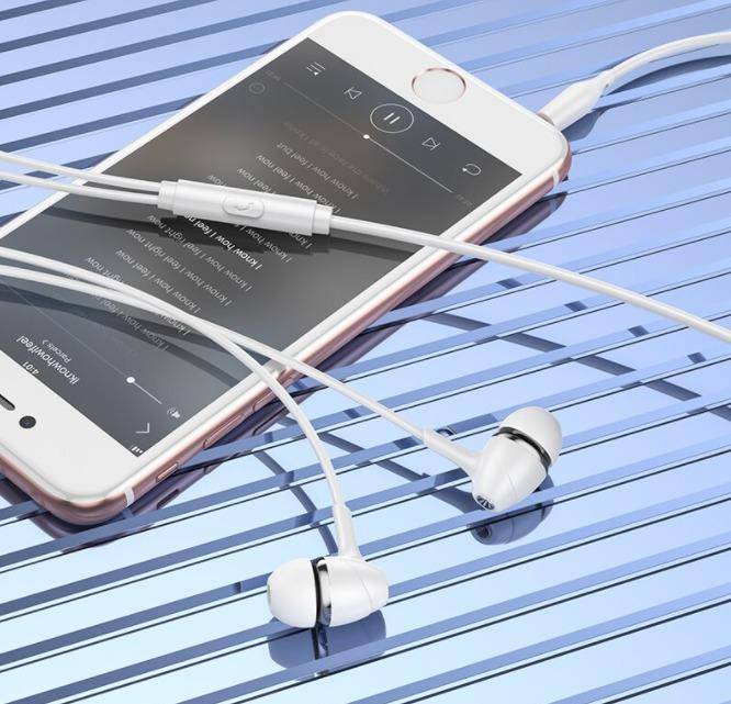 Universal Earphones with Microphone