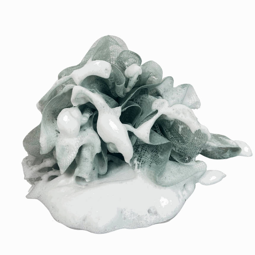 Tallow Shower Gel - Lavender & Rose
