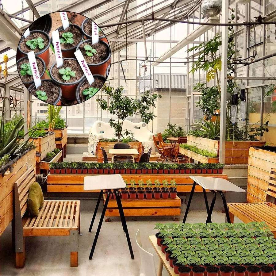 30-Pack Plant Nursery Pots | Humidity Dome & Planter Labels |