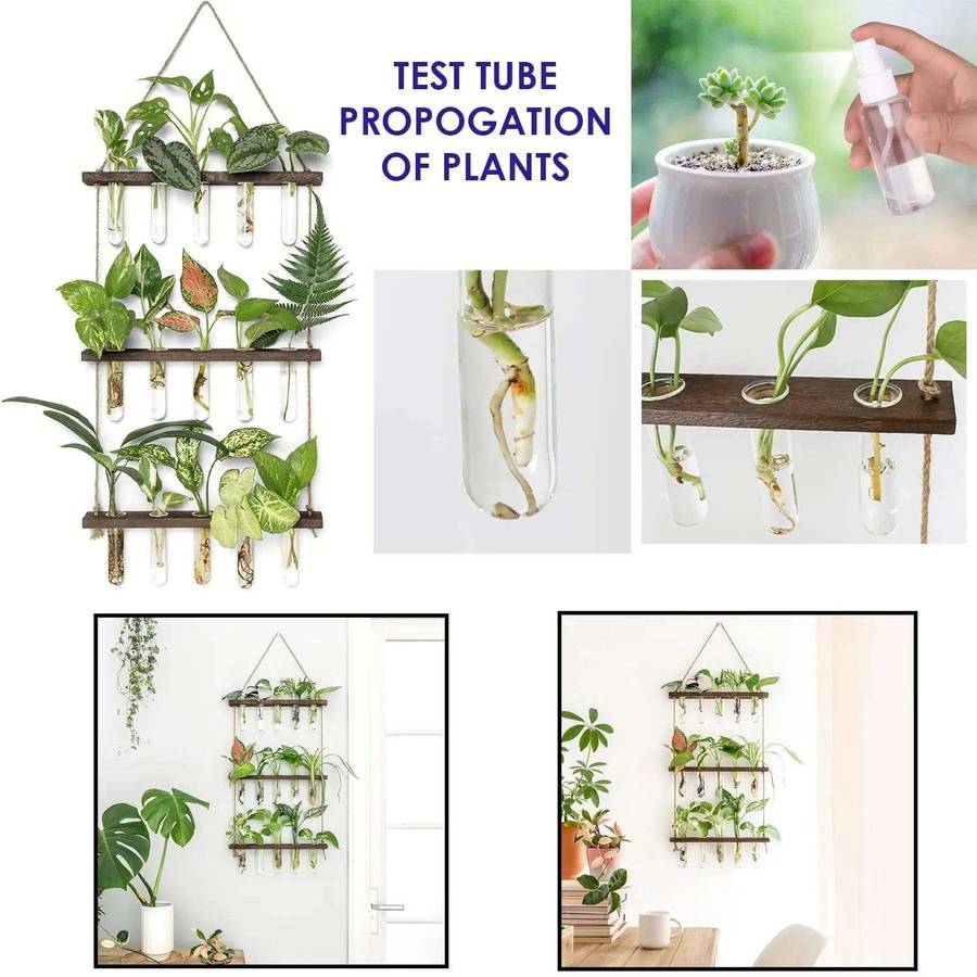 3 Tier Wall Hanging Planter Terrarium Kit
