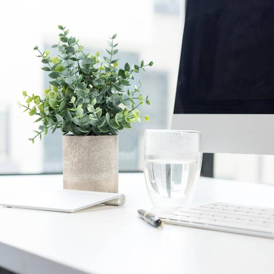 2 Pack Mini Fake Artificial Plants Eucalyptus Potted For Home Office Decor-