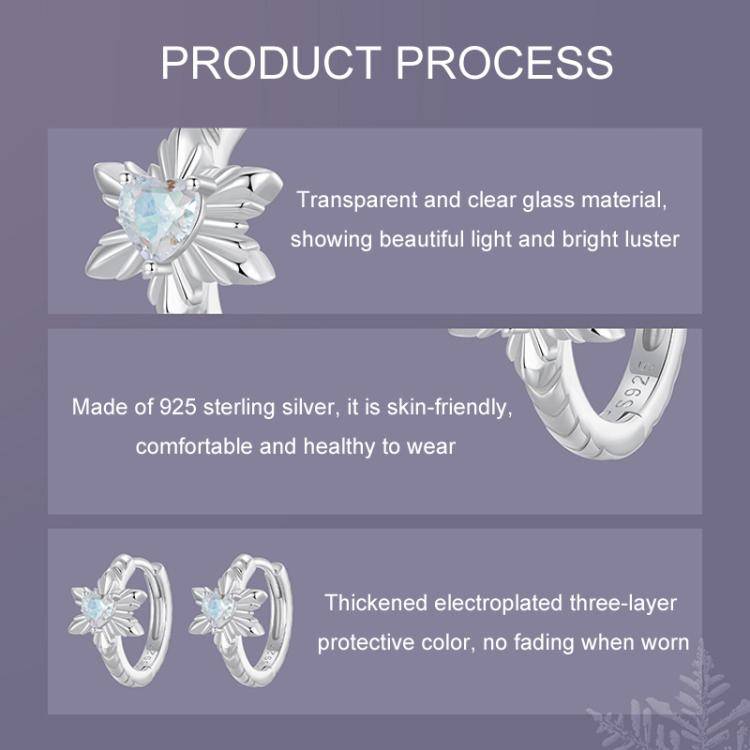 S925 Sterling Silver All-match Snowflake Women Earrings(BSE1134)