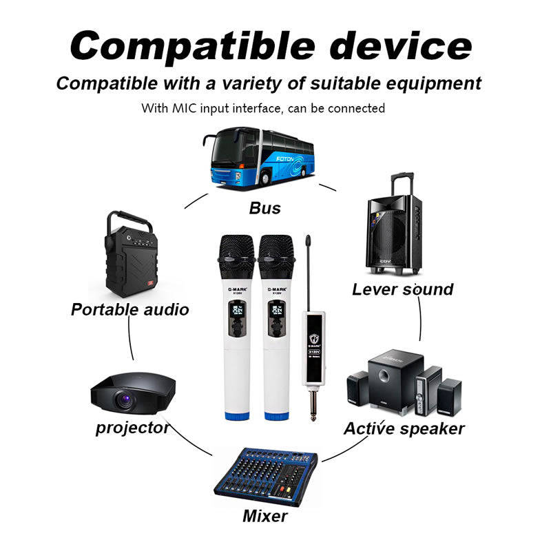 Professional Dual Karaoke Wireless Microphone -308