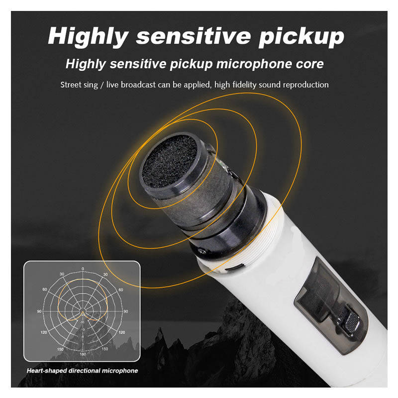 Professional Dual Karaoke Wireless Microphone -308