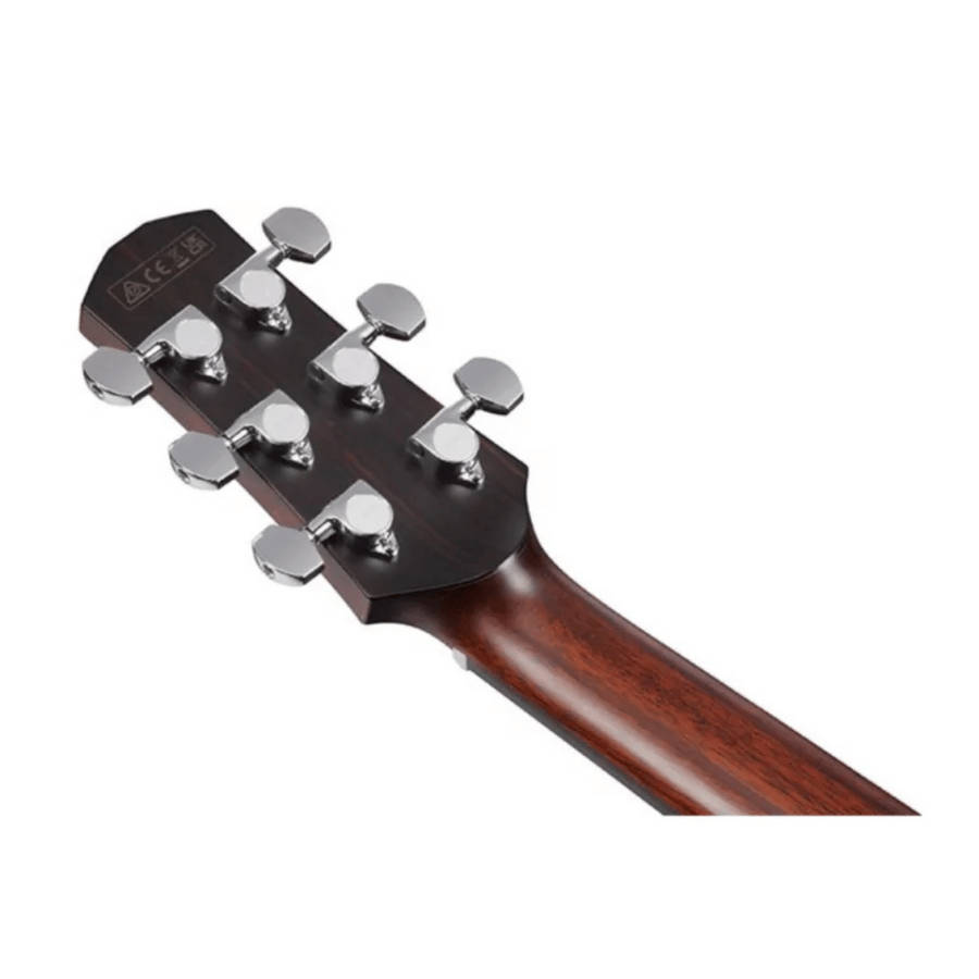 Ibanez AAM700CE Acoustic Guitar