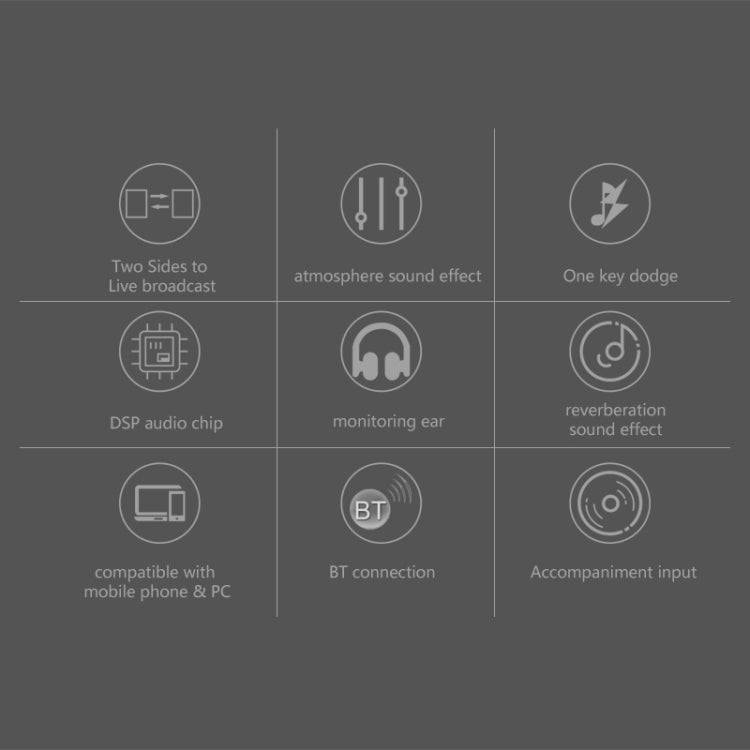 RK-C21 Bluetooth Live Broadcast Audio Headset Microphone Webcast Entertainment Streamer Sound Car...