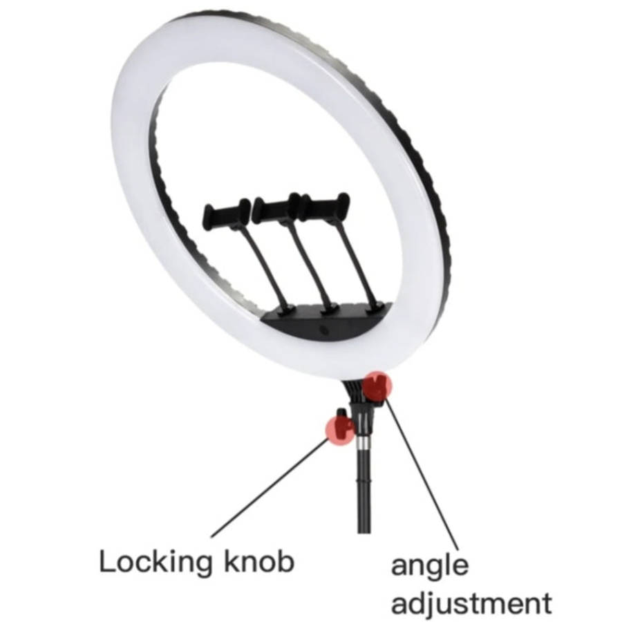 JMARY FM-21R With Remote Control Phone Clip 21-inch Dimmable LED Ring Light, US Plug, EU Plug