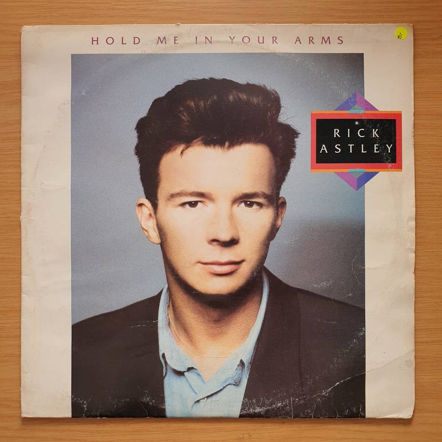 Rick Astley  Hold Me In Your Arms - Vinyl LP Record - Very-Good Quality (VG)  (verry)