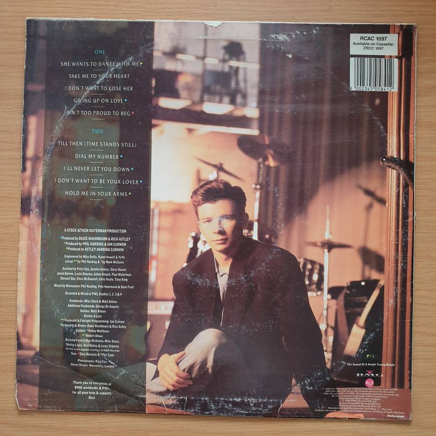 Rick Astley  Hold Me In Your Arms - Vinyl LP Record - Very-Good Quality (VG)  (verry)