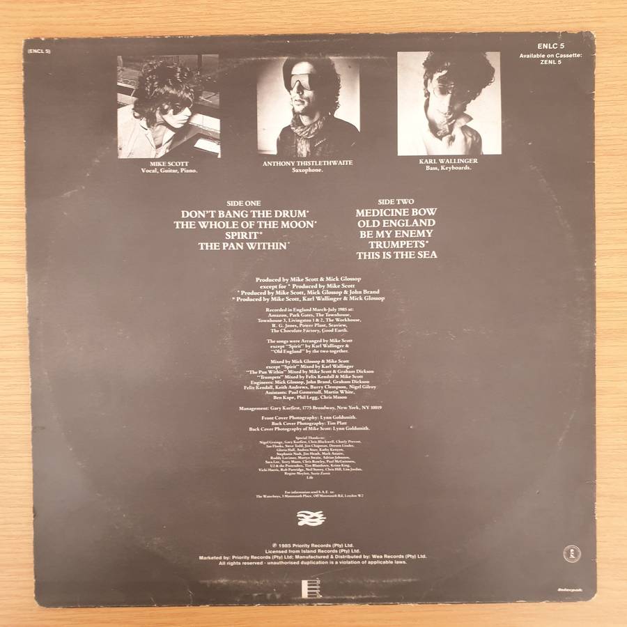 The Waterboys  This Is The Sea - Vinyl LP Record - Very-Good- Quality (VG-) (minus)