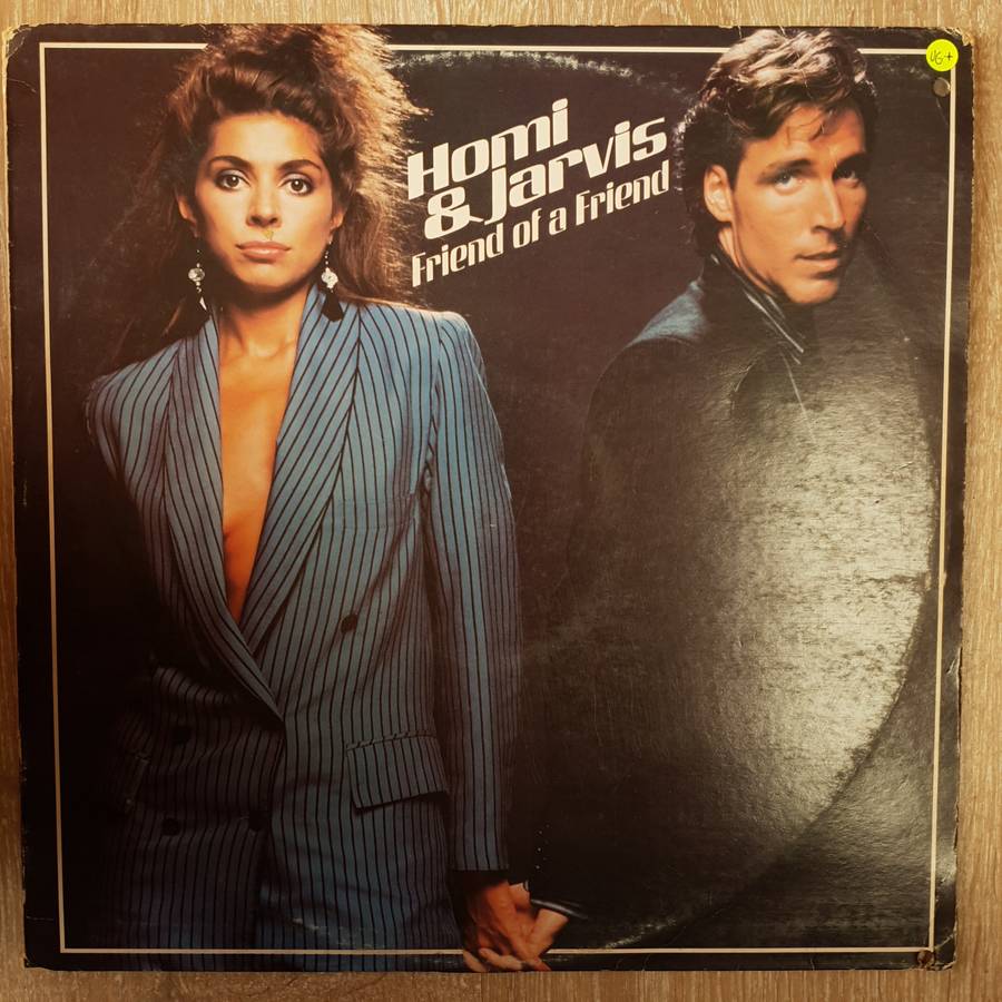 Homi & Jarvis  Friend Of A Friend - Vinyl LP Record - Very-Good+ Quality (VG+)