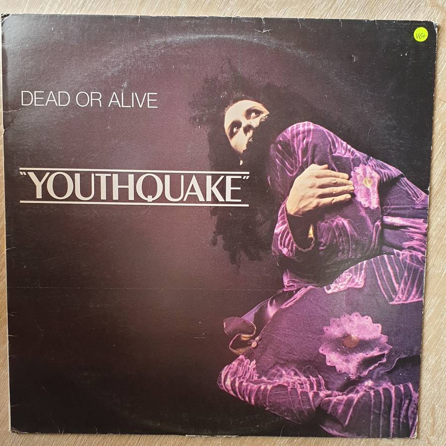 Dead Or Alive  Youthquake - Vinyl LP Record  (VG+)