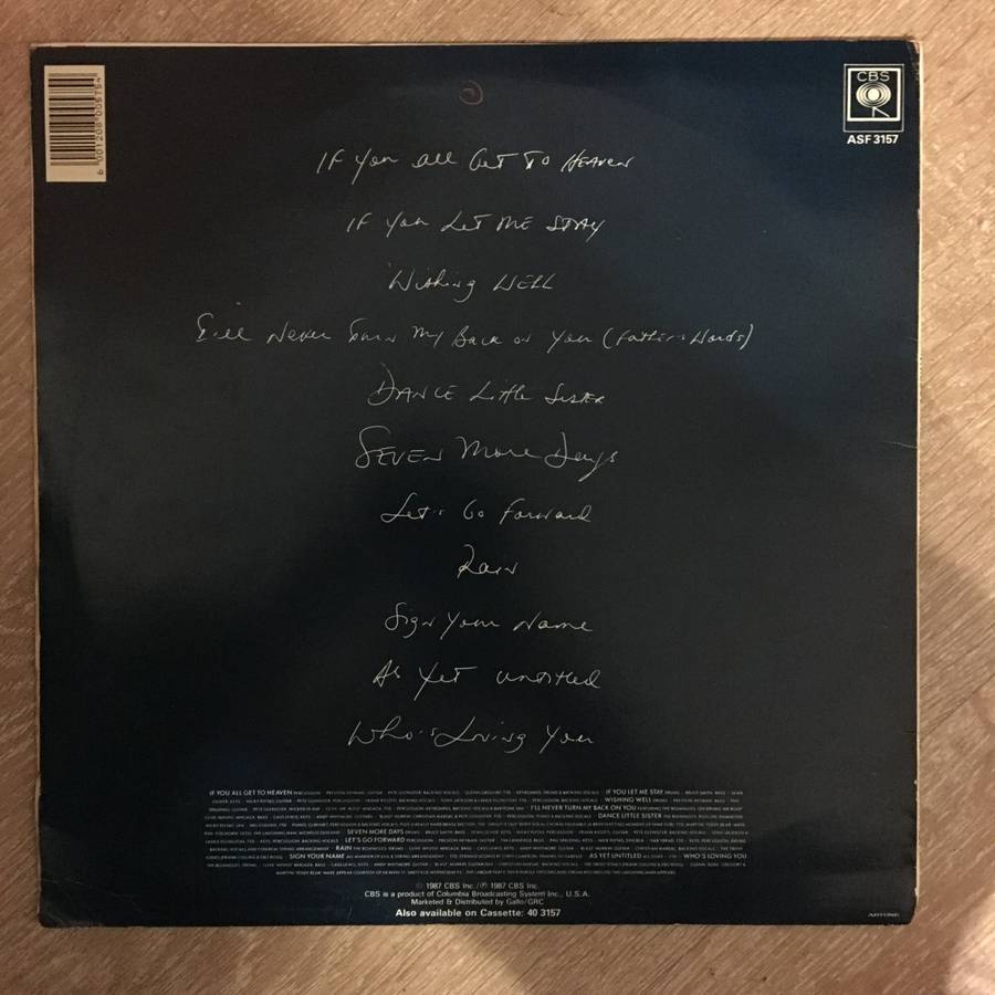Janis Ian - Between The Lines - Vinyl LP Record - Opened  - Good Quality (G)