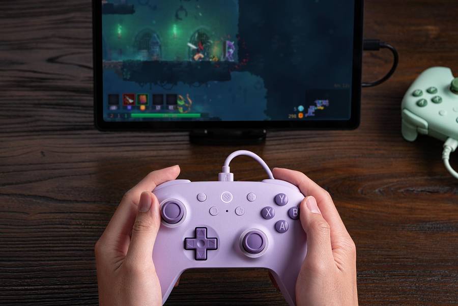 8BitDo Ultimate 2C Wired Controller For Windows and Android Purple