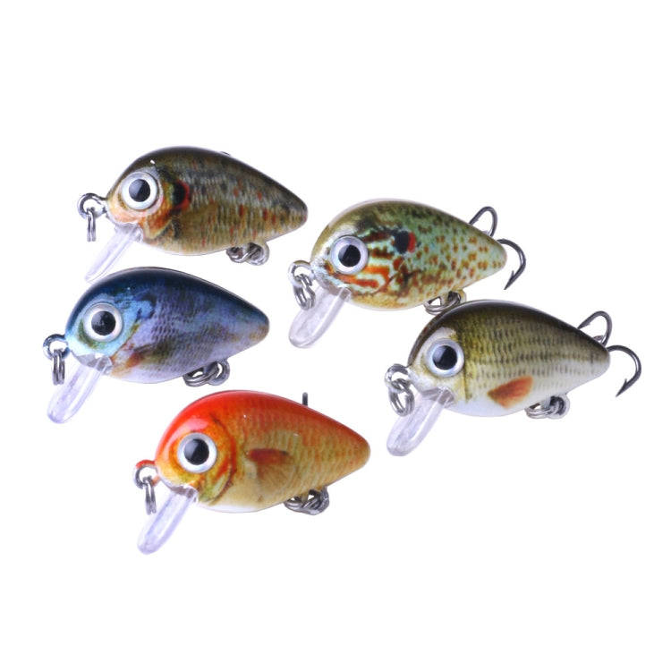 Fishing Lure Hard Bait 5 Piece Rock Fishing Kit in Plastic Box