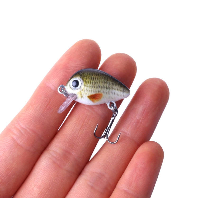 Fishing Lure Hard Bait 5 Piece Rock Fishing Kit in Plastic Box
