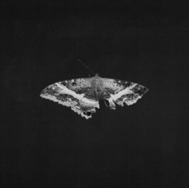 Kendrick Lamar - To Pimp A Butterfly Exclusive 180G Vinyl (10 Year Anniversary Edition) - Alterna...