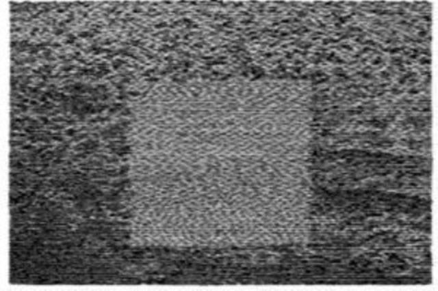 Grouper - Grid Of Points (CD)
