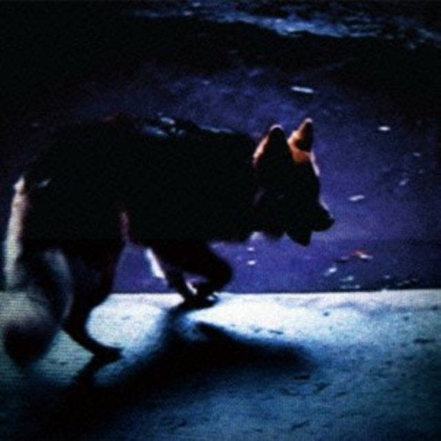 Video Nasties - On All Fours (CD)