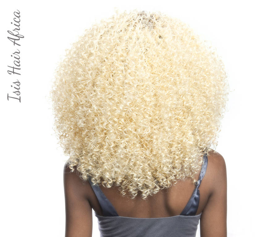Brown Sugar 204 Swiss Lace - Lace Front Wig - BUG