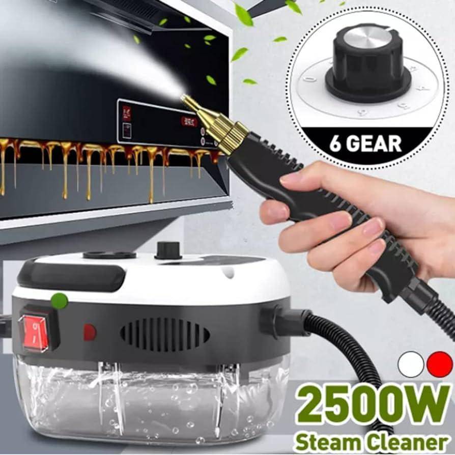 ZS - Portable Steam Cleaner