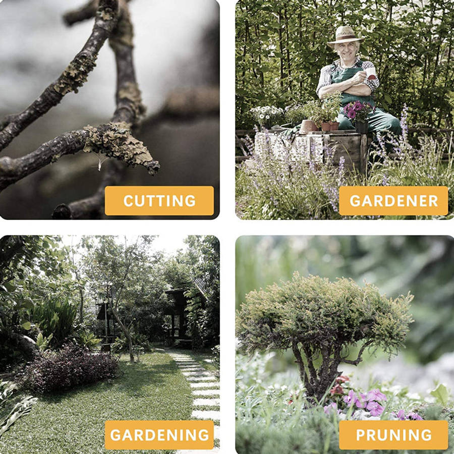 ZS - 48Vf 6 Inch Wireless Electric Chain Saw