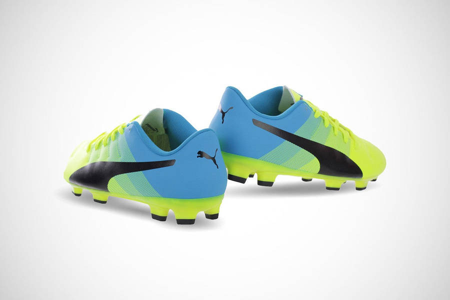 Puma evoPOWER 4.3 FG  Men - 8