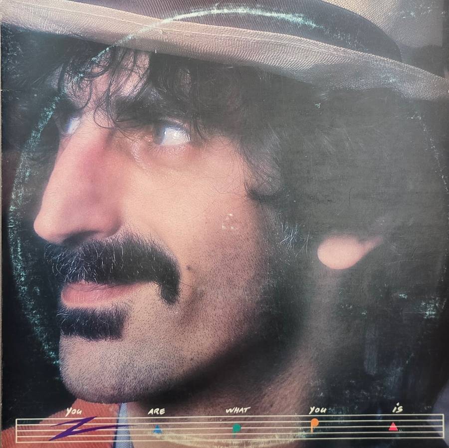Frank Zappa  You Are What You Is