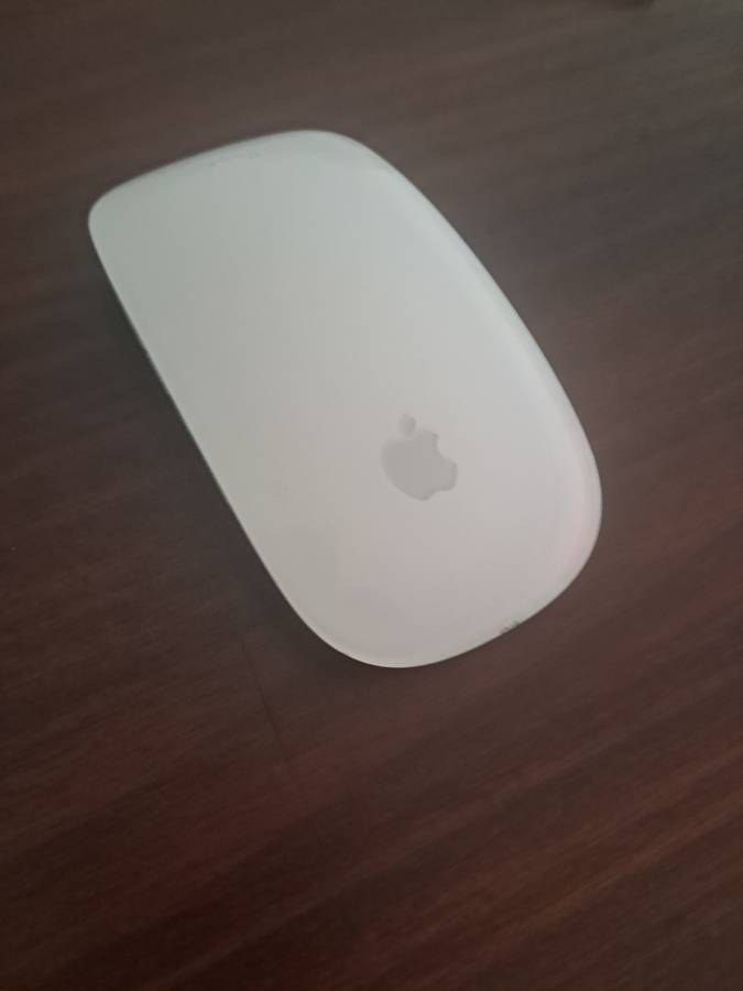 Apple magic mouse