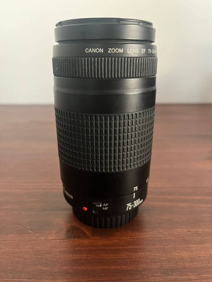 Canon EF 75-300mm Lens