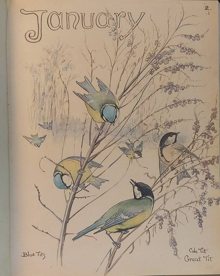 The Country Diary of an Edwardian Lady, Edith Holder